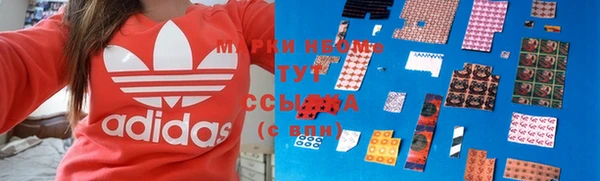 гашик Козловка
