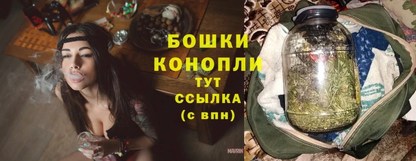 гашик Козловка