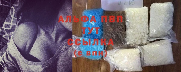 гашик Козловка