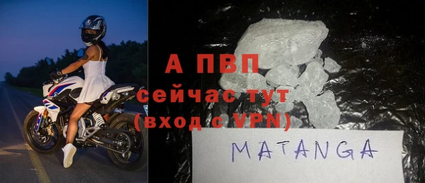 гашик Козловка