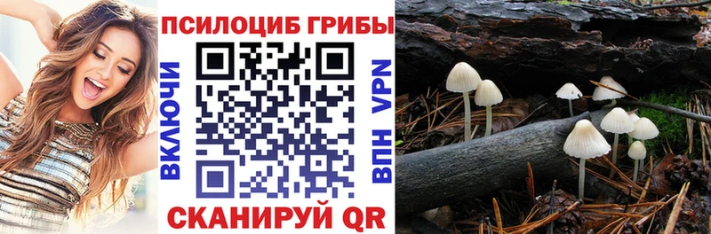 Псилоцибиновые грибы прущие грибы Сурск